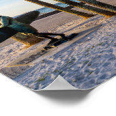 Promenade Pavée À Pensacola Beach Poster (Coin)