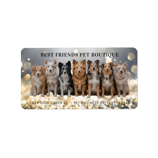 Promeneur de chiens de luxe / Étiquette d'adresse  (Devant)