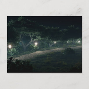 Promenez-Vous Dans La Carte Postale Woods 2009