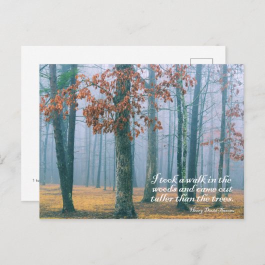 Promenez-vous dans les bois - Carte postale (Devant / Derrière)