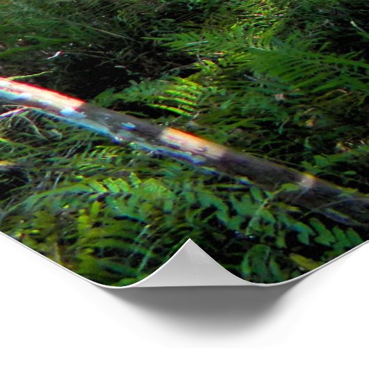 Promenez-vous dans les bois Poster (Coin)