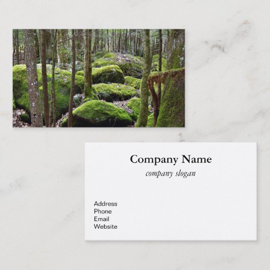 Promenez-vous dans les Cartes de visite des bois (Devant / Derrière)