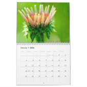 Promenez-vous parmi le calendrier des Fleurs sauva (Jan 2026)