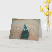 Promenez-vous Peacock - Penser à votre carte (Fleur jaune)