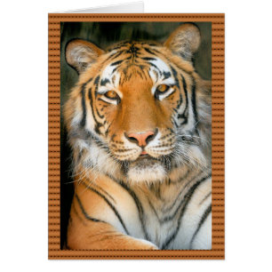 Promenez-vous sur le côté sauvage - Tigre