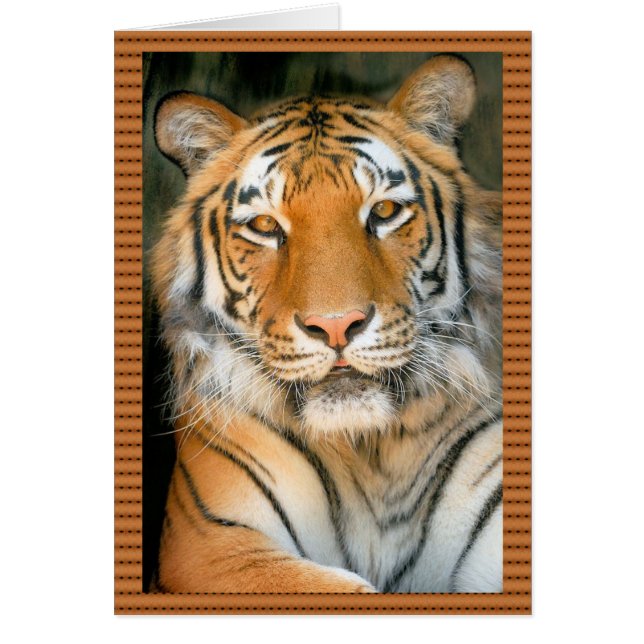 Promenez-vous sur le côté sauvage - Tigre (Devant)