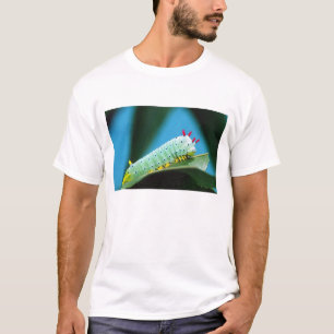 Prometheus Mot Rups, Callosamia T-shirt
