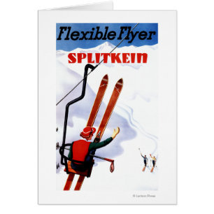 Promo Flexible Flyer Splitkein Skis En Bois
