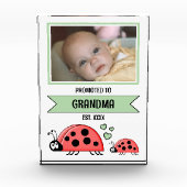 Promoted to grandma ladybugs green fotoblokken (Voorkant)