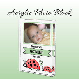 Promoted to grandma ladybugs green fotoblokken