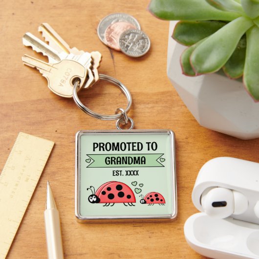 Promoted to Grandma ladybugs green Sleutelhanger (Bureau)