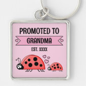 Promoted to Grandma ladybugs pink Sleutelhanger (Voorkant)