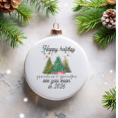 Promoted to Grandparents Christmas tree  Glas Ornament