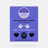 Promotion U-Pick Blueberry Farm (Recto)