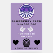 Promotion U-Pick Blueberry Farm (Recto)