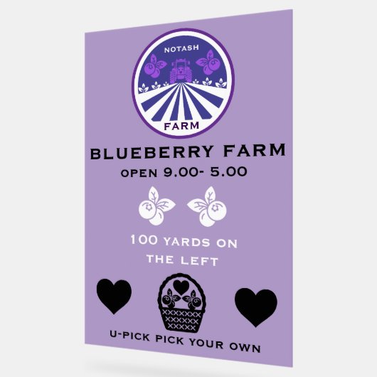 Promotion U-Pick Blueberry Farm (Angle)