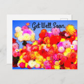 Prompt rétablissement Divers Dahlia #2-2 Carte pos (Devant / Derrière)