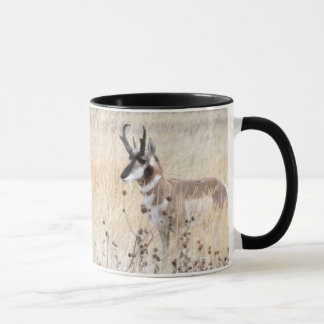 Pronghorn Antelope Buck in Wyoming Field Mok