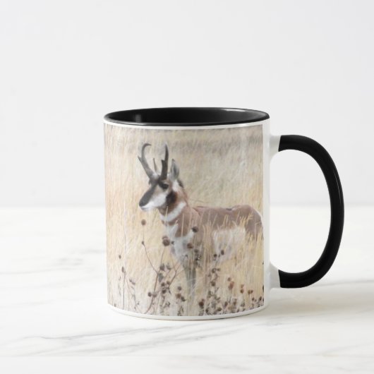 Pronghorn Antelope Buck in Wyoming Field Mok (Rechts)