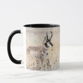 Pronghorn Antelope Buck in Wyoming Field Mok (Links)