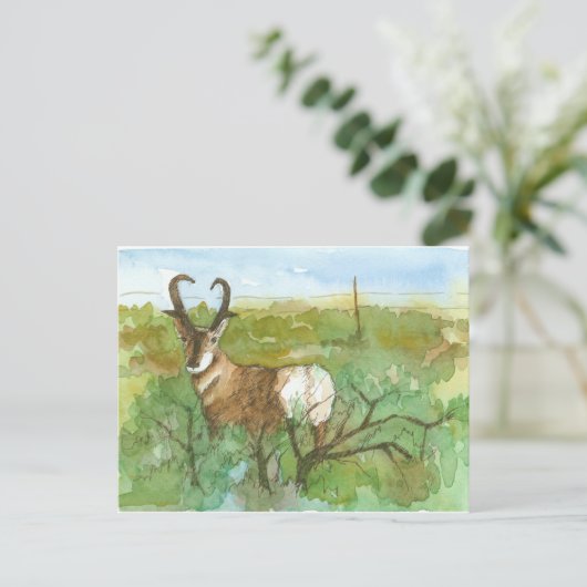 Pronghorn Antelope-woestijn Waterverf landschap Briefkaart (Staand voorkant)
