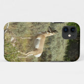 Pronghorn in Grand Teton National Park Case-Mate iPhone Case (Achterkant (horizontaal))