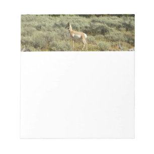 Pronghorn in Grand Teton National Park Notitieblok