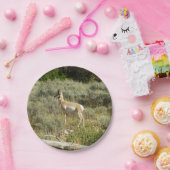 Pronghorn in Grand Teton National Park Papieren Bordje (Feest)