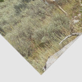 Pronghorn in Grand Teton National Park Tissuepapier (Detail)