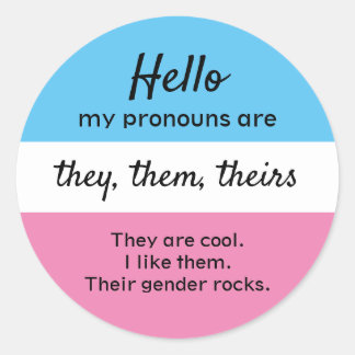 Pronouns Sticker, ze zijn de woordvoerders Ronde Sticker