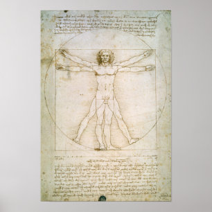 Proporties van de mens poster