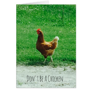 Proposition Ne sois pas un poulet, épouse-moi !4.2