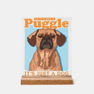 Propriétaire de Puggles C'est une copie de Puggle