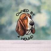 Propriété de quelqu'un Basset Hound (Neutre)