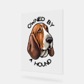 Propriété de quelqu'un Basset Hound (Angle)