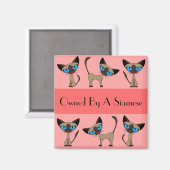 Propriété D'Un Aimant Siamais (Recto/Verso)