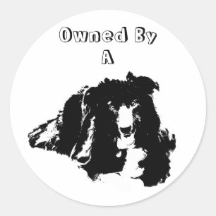 Propriété D'Un Collie Bordure Drôle Sticker Chien