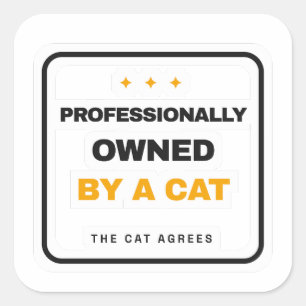 Propriété Professionnelle D'un Chat Autocollant Dr