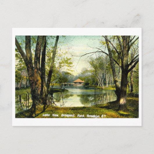 Prospect Park, Brooklyn NY, 1908 Carte postale Vin (Devant)