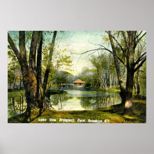 Prospect Park, Brooklyn NY, 1908  Poster (Voorkant)