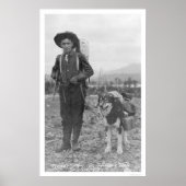 Prospector Dog Seward, Alaska 1904 Poster (Voorkant)
