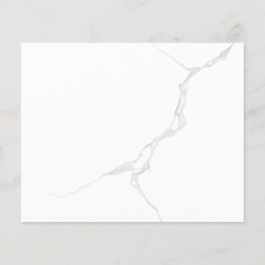 PROSPECTUS 11,4 CM X 14,2 CM (Dos)