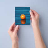 Prospectus 11,4 Cm X 14,2 Cm Acheter (main)