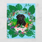 Prospectus 11,4 Cm X 14,2 Cm Adam Scott - Joueur impressionnant (Dos)