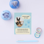 Prospectus 11,4 Cm X 14,2 Cm Affiche photo moderne bleu Chien manquant  (Simple)