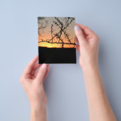 Prospectus 11,4 Cm X 14,2 Cm African sunset (main)