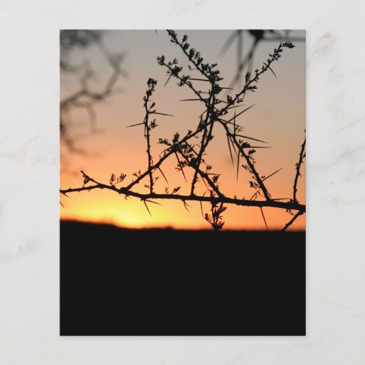 Prospectus 11,4 Cm X 14,2 Cm African sunset (Devant)