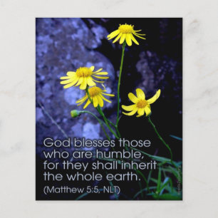 Prospectus 11,4 Cm X 14,2 Cm Bienheureux sont les Meek