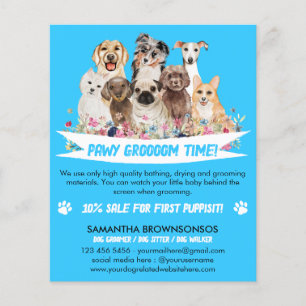 Prospectus 11,4 Cm X 14,2 Cm Bleu Simple Floral Illustré Chien groomer