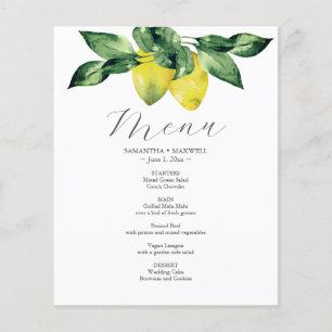 Prospectus 11,4 Cm X 14,2 Cm Budget Mariage Menu Citron et Carreaux Amalfi